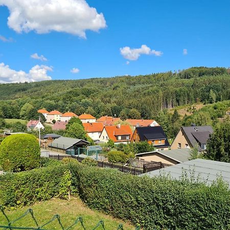 Ferienhaus Marx Sebnitz Extérieur photo
