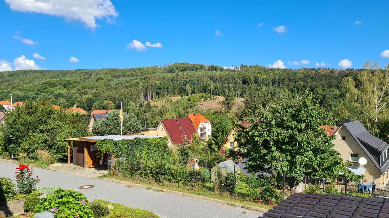 Ferienhaus Marx Sebnitz Extérieur photo