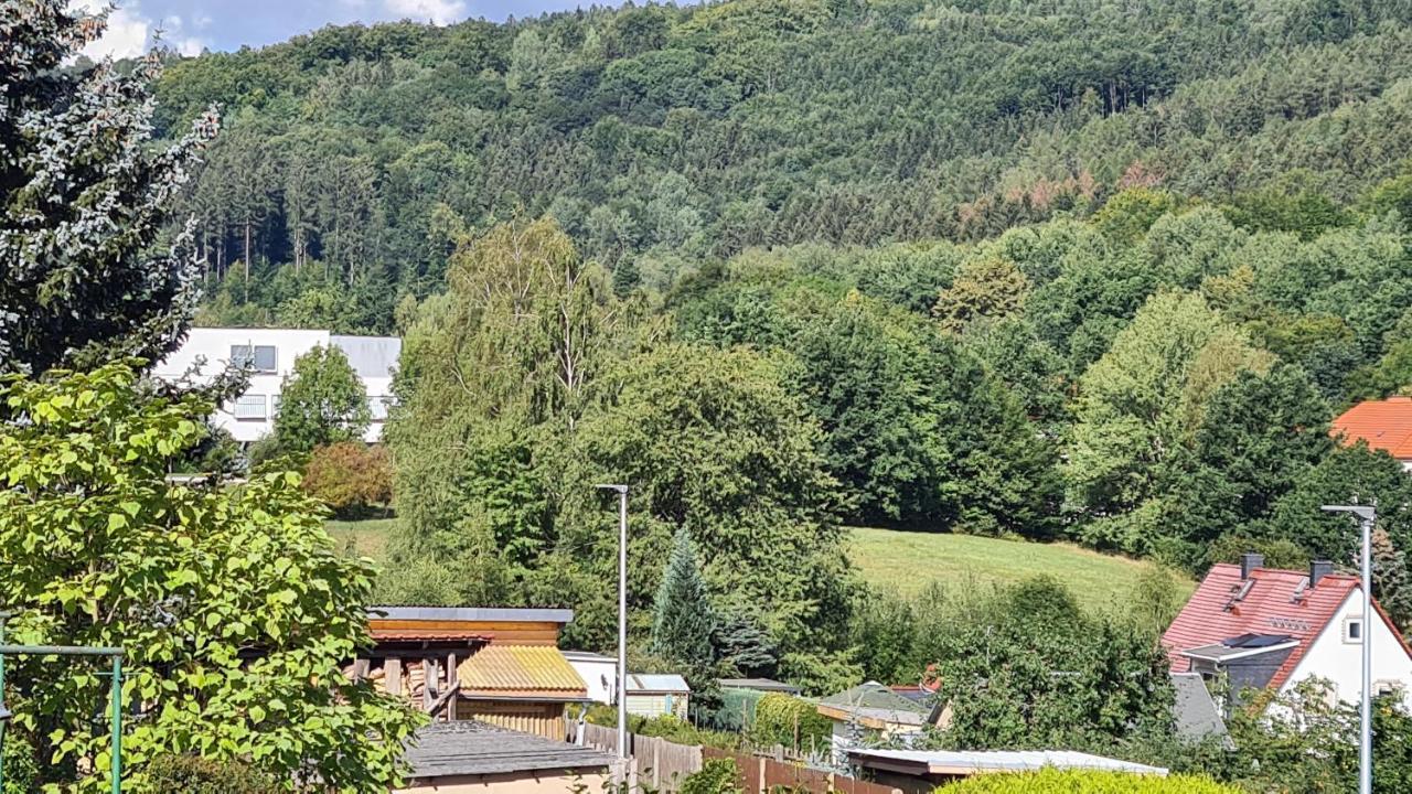 Ferienhaus Marx Sebnitz Extérieur photo
