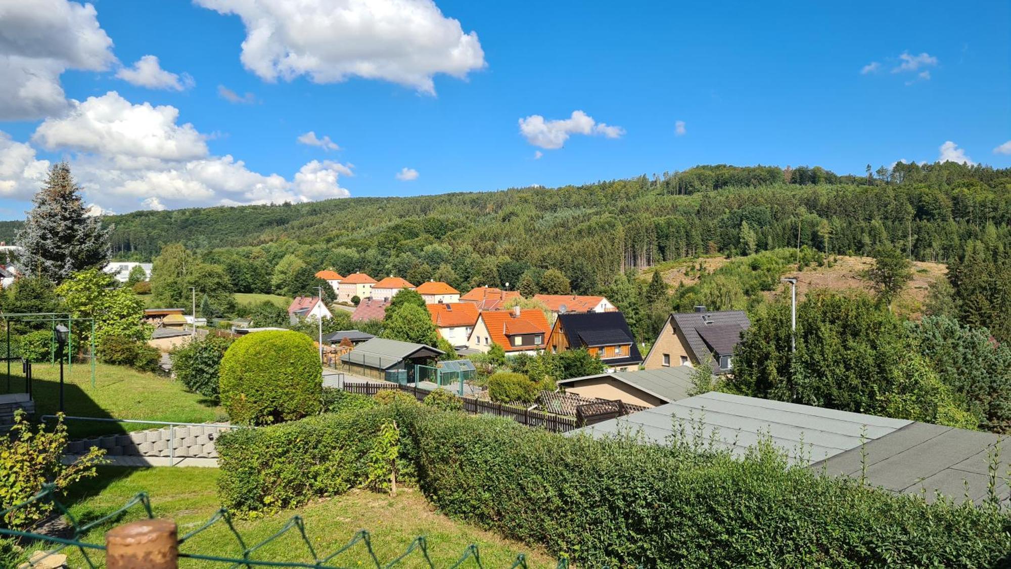 Ferienhaus Marx Sebnitz Extérieur photo